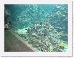 Dierentuin Burgers  Zoo 060 * 3648 x 2736 * (5.19MB)